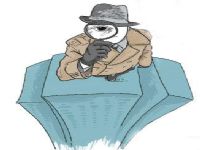 通榆县取证公司解说第三者承担离婚赔偿责任吗
